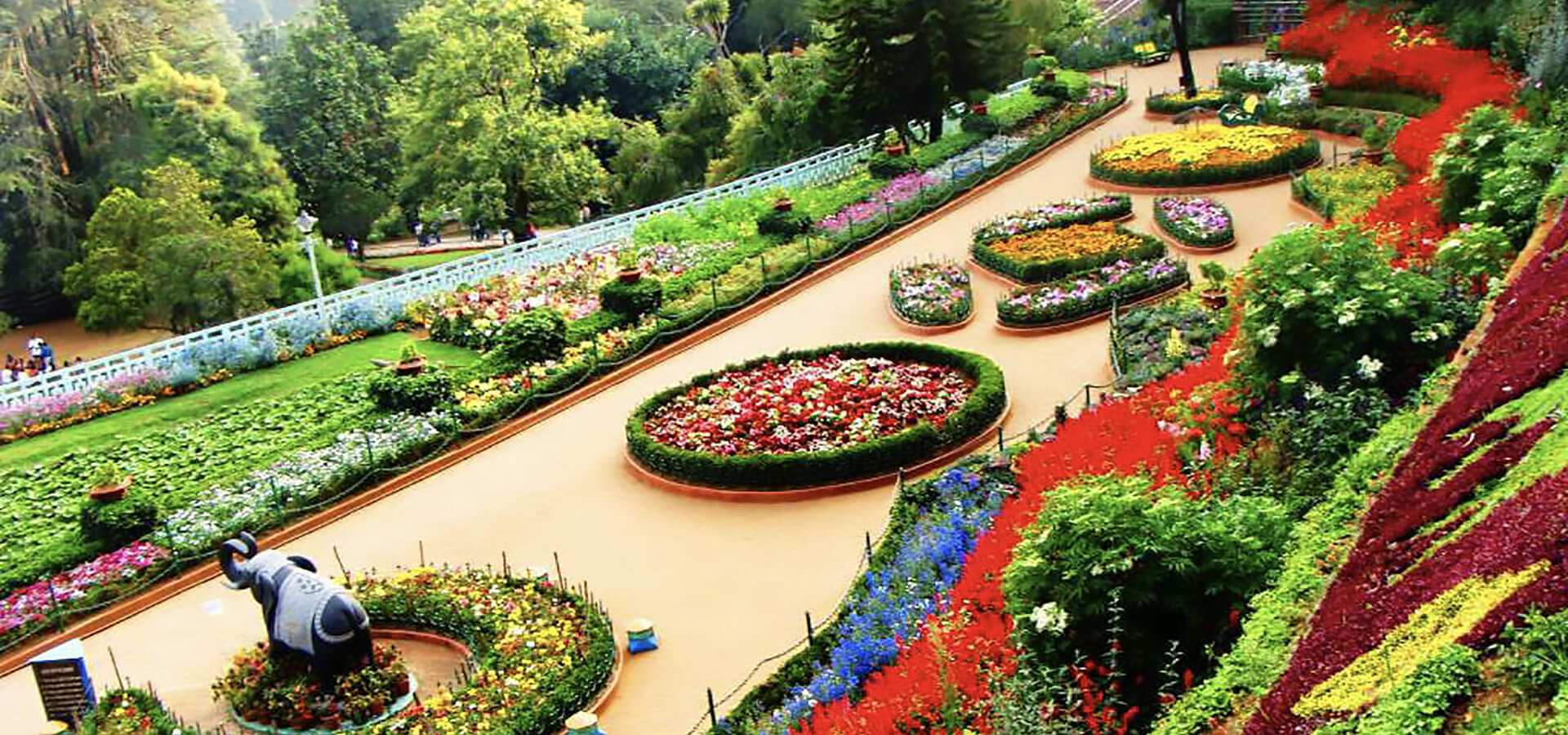 ooty-4